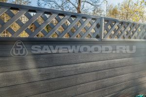  Хочу красивый забор Sw-salix-7-pond10-300x200