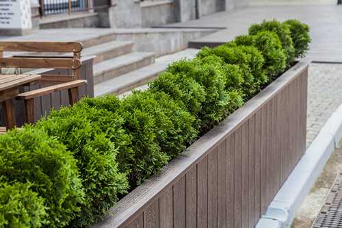 Кашпо и цветочники из ДПК. Высокие горшки для туй и цветов из древесно ...